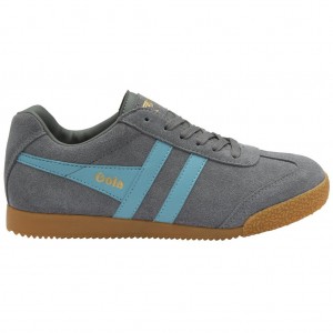 Gola Classics Harrier Suede Sneakers Ash Ocean Nederland | 682-ULISOK