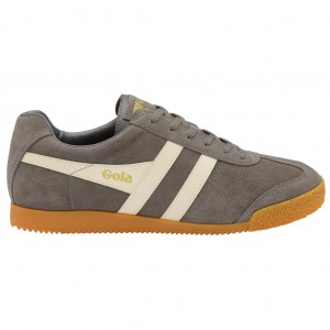 Gola Classics Harrier Suede Sneakers Ash Ecru Nederland | 169-MKHRBX