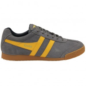 Gola Classics Harrier Suede Sneakers Donkerblauw Nederland | 732-ONICKZ