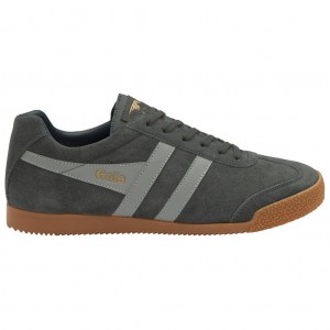 Gola Classics Harrier Suede Sneakers Lichtgrijs Donkerblauw Nederland | 690-CWMUKR